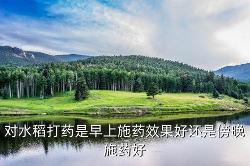 稻谷什么時候打農藥好