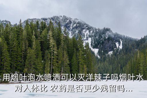用煙葉泡水噴灑可以滅洋辣子嗎煙葉水對(duì)人體比 農(nóng)藥是否更少殘留嗎...