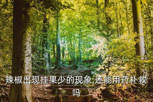 辣椒出現掛果少的現象,還能用藥補救嗎