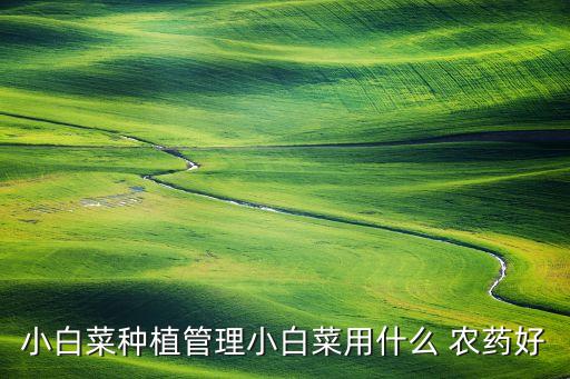 小白菜種植管理小白菜用什么 農藥好