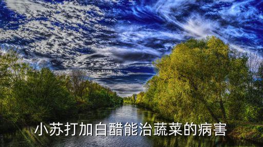 豇豆白粉病用什么農藥,白粉病用什么農藥效果好