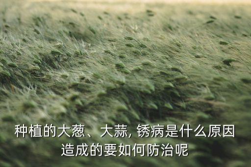 蒜苗銹病打什么農藥