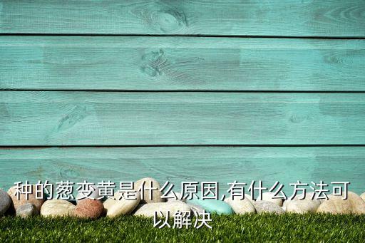小蔥發(fā)黃打什么農(nóng)藥好,小蔥長的發(fā)黃什么原因呢