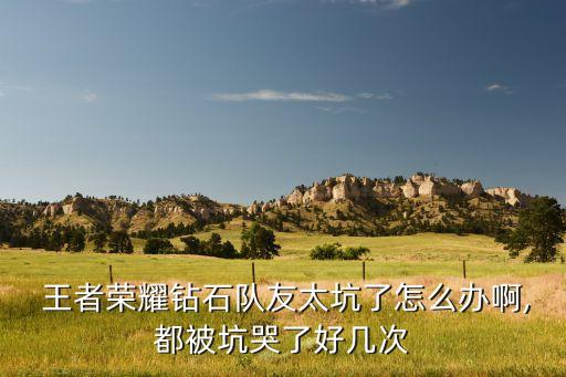  王者榮耀鉆石隊(duì)友太坑了怎么辦啊,都被坑哭了好幾次