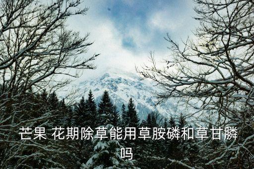  芒果 花期除草能用草胺磷和草甘膦嗎