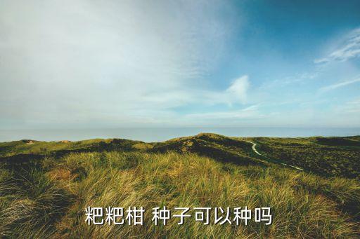 坡地用什么農藥打爛種子