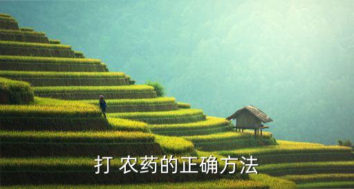 打 農藥的正確方法