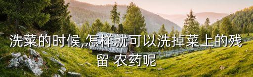 洗菜的時候,怎樣就可以洗掉菜上的殘留 農(nóng)藥呢
