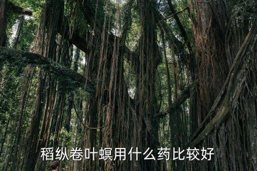 稻縱卷葉螟用什么藥比較好