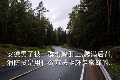 安徽男子被一群蜜蜂盯上,爬滿后背,消防員是用什么方法驅趕走蜜蜂的...