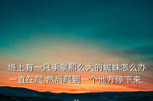 墻上打什么農藥好看