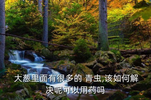 大蔥青蟲什么農藥防治的,蔬菜青蟲用什么農藥