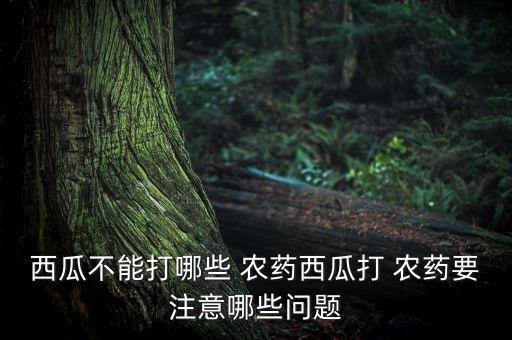 西瓜不能打哪些 農(nóng)藥西瓜打 農(nóng)藥要注意哪些問(wèn)題