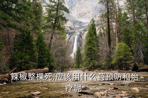  辣椒整棵死,應(yīng)該用什么藥預(yù)防和治療呢