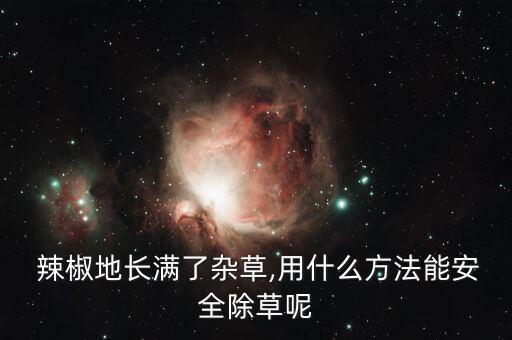  辣椒地長滿了雜草,用什么方法能安全除草呢