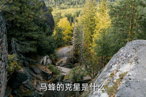 螞蜂最怕什么農藥呢?,馬蜂怕什么怎么驅趕