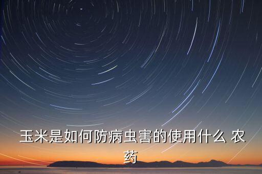 玉米掛包打什么農藥好,玉米一般打什么農藥