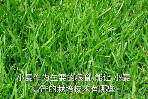 小麥用什么農藥能高產,三月份小麥打什么農藥