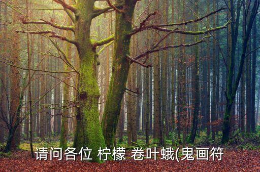 請問各位 檸檬 卷葉蛾(鬼畫符