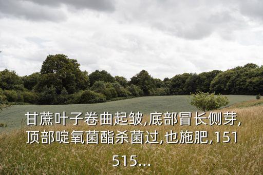 甘蔗稍腐病用什么農藥,干腐病用什么農藥