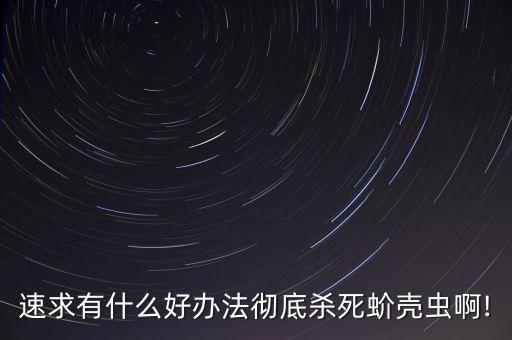 速求有什么好辦法徹底殺死蚧殼蟲啊!