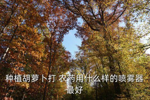 種植胡蘿卜打 農藥用什么樣的噴霧器最好