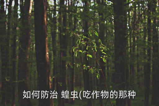 用什么農(nóng)藥可毒殺蝗蟲,用農(nóng)藥噴灑毒殺蝗蟲的方法優(yōu)點