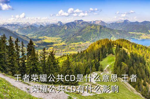 王者農藥cd是什么,王者榮耀里面cd是什么意思