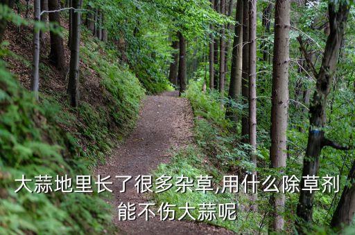 什么農藥可以吃蒜,目前市場上什么農藥能吃死人