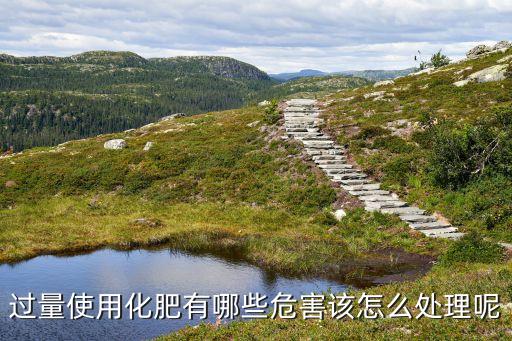 什么農藥超標不能用肥料,肥料中添加農藥按照什么處理