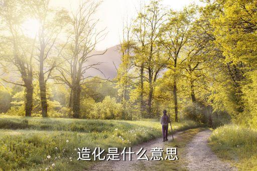 造化是什么意思