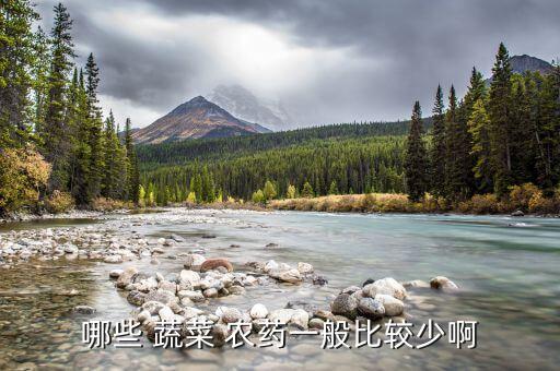 什么蔬菜農藥最少殘留,如何去除蔬菜的農藥和重金屬殘留