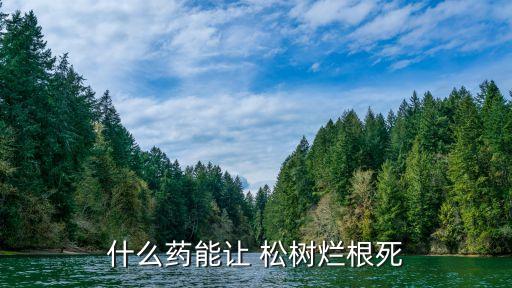 松樹除草用什么農(nóng)藥,什么農(nóng)藥除草效果最好