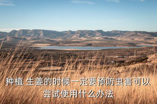 種植 生姜的時候一定要預防蟲害可以嘗試使用什么辦法