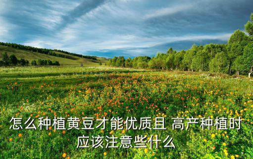 怎么種植黃豆才能優質且 高產種植時應該注意些什么