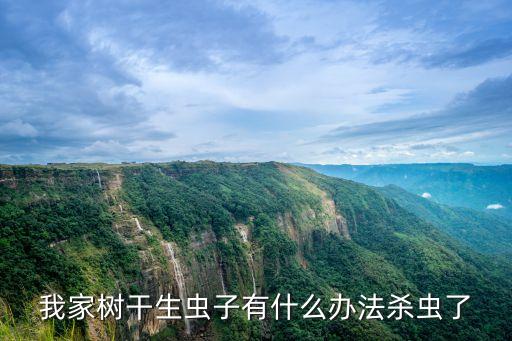 我家樹干生蟲子有什么辦法殺蟲了