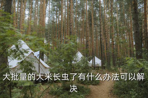 米蟲應(yīng)該打什么農(nóng)藥,白菜米蟲用什么農(nóng)藥