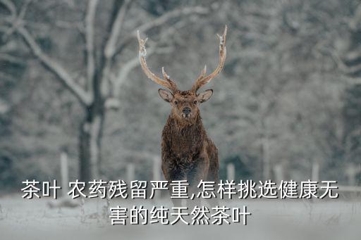 什么茶最好喝又有農藥,脂肪肝喝什么茶最好最有效