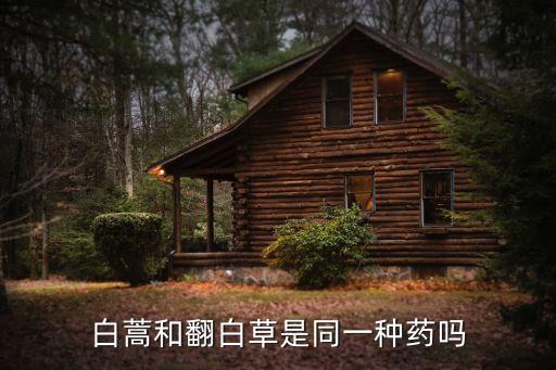 什么農藥可以除掉苦蒿,竹子用什么農藥能除掉