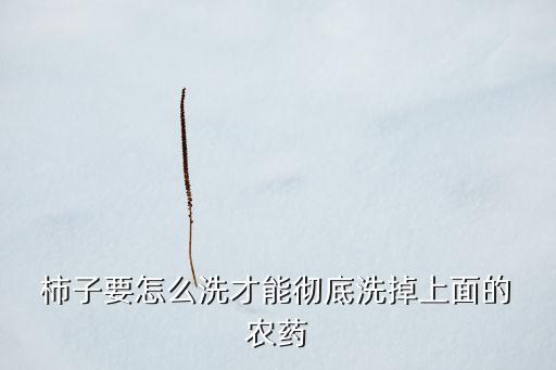  柿子要怎么洗才能徹底洗掉上面的 農藥