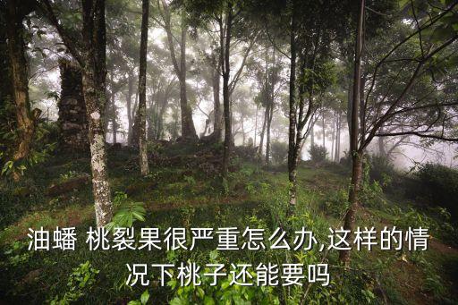 ,桃裂果施什么農(nóng)藥