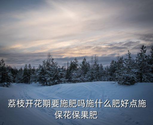  荔枝開花期要施肥嗎施什么肥好點施保花保果肥