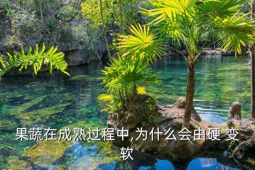 什么農藥使果實變硬變軟,果實著色用什么農藥?