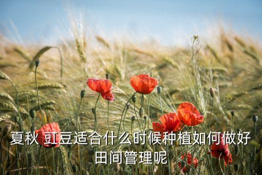 夏秋 豇豆適合什么時候種植如何做好田間管理呢