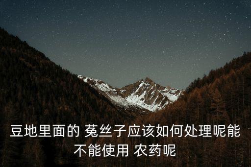豆地里面的 菟絲子應(yīng)該如何處理呢能不能使用 農(nóng)藥呢