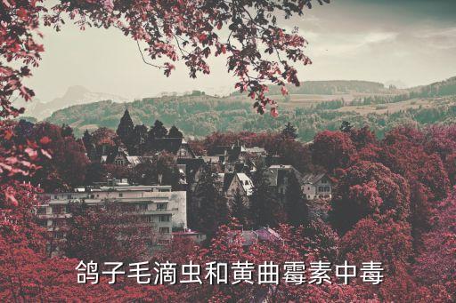 什么農藥可以毒死鴿子,被農藥毒死的鴿子能吃嗎