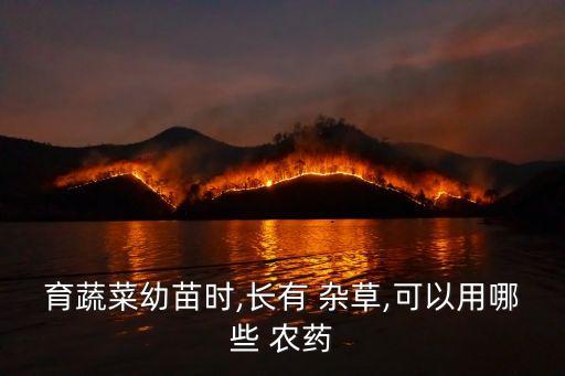 育蔬菜幼苗時(shí),長(zhǎng)有 雜草,可以用哪些 農(nóng)藥