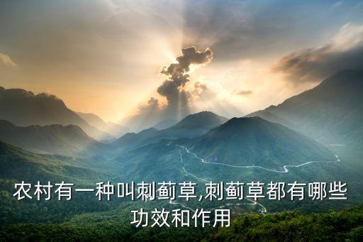 紫色的農藥都有什么,什么農藥是紫色的