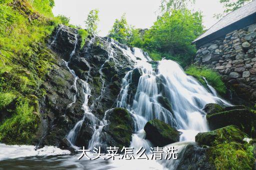 大頭菜怎么清洗