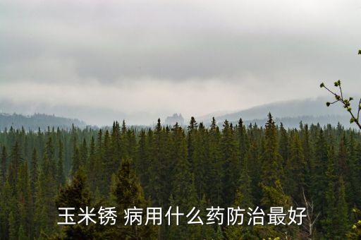  玉米銹 病用什么藥防治最好